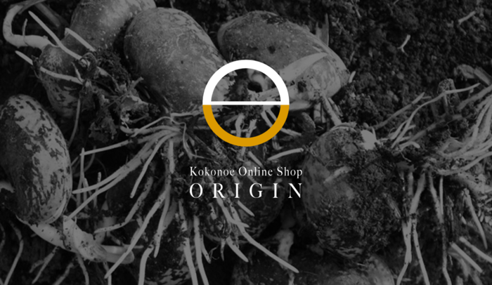 origin logo.png